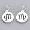 925 Sterling Silver Charms STER-T002-44S-06-2