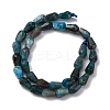 Natural Apatite Beads Strands G-C080-B06-01A-5