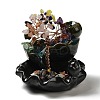 Gemstone Chips Tree Decorations AJEW-P120-A02-2