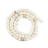 Natural Cultured Freshwater Shell Beads Strands BSHE-H109-03C-3