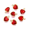 K9 Glass Charms GLAA-T023-11C-1