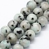 Natural Sesame Jasper/Kiwi Jasper Beads Strands G-I199-29-10mm-1