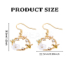 1 Pair Alloy Enamel Dangle Earrings EJEW-LP0007-067-2