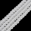 Transparent Glass Beads Strands X1-EGLA-A034-T8mm-MD19-2