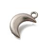 304 Stainless Steel Charms STAS-D310-06P-02-2