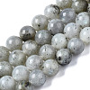 Natural Labradorite Round Beads Strands LS-G-S158-8mm-1