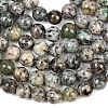 Natural K2 Stone Beads Strands G-K405-B03-8mm-5