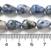 Natural Blue Spot Jasper Beads Strands G-B106-A15-02-5