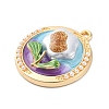 Alloy Enamel Pendants FIND-M060-11G-2