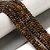 Natural Petrified Wood Beads Strands G-NH0017-D02-02-1-2