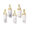 Natural Howlite Pointed Pendants G-G025-01G-43-4