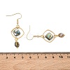 Natural Paua Shell & Stainless Steel Dangle Earrings for Women EJEW-JE07076-02-5