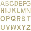 Glitter Hotfix Rhinestone Iron on Patches DIY-WH0183-09A-1