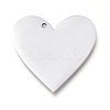 Tarnish Resistant 304 Stainless Steel Pendants LS-STAS-L238-098B-P-1