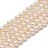 Natural Cultured Freshwater Pearl Beads Strands PEAR-N013-03C-3