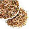 200G Electroplate Glass Seed Beads GLAA-SZ0002-17E-2