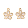 201 Stainless Steel Charms STAS-C017-21G-1