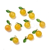 Dyed Natural Agate Orange Charms LS-G-U025-07G-2