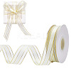 Polyester Ribbon OCOR-WH0110-42A-1