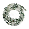 Natural Moss Agate Beads Strands G-J002-03H-A-3