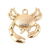 Brass Pendants KK-R219-19G-1