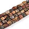 Natural Polychrome Jasper/Picasso Stone/Picasso Jasper Beads Strands G-T140-60A-4