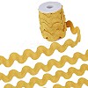 9 Yards Polyester Wavy Fringe Trim Ribbon OCOR-XCP0002-90D-1