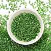 FGB 8/0 Grade A Round Glass Seed Beads SEED-Q007-3mm-F49-5