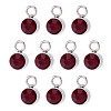10Pcs Glass Rhinestone Charms STAS-TA0003-26D-1