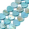 Natural Freshwater Shell Beads Strands SH-CBA93AD-06A-1