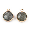 Natural Labradorite Charms G-Q998-026E-1