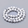 Natural Howlite Beads Strands G-S259-47-10mm-2