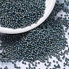 MIYUKI Round Rocailles Beads X-SEED-G007-RR2008-1