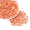 Transparent Colours Glass Seed Beads SEED-Q042-01A-A04-1