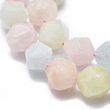 Natural Morganite Beads Strands G-K303-B03-10mm-6