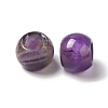 Natural Amethyst European Beads G-N342-03M-2