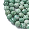 Natural Green Spot Jasper Beads Strands G-L651-A01-8mm-4