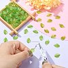 100Pcs Transparent Acrylic Charms TACR-CJ0001-60-5