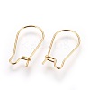 304 Stainless Steel Hoop Earrings STAS-P227-13G-2