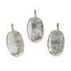 Natural Labradorite Pendants G-K338-05B-1