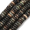 Natural Biotite Beads Strands G-B155-B04-4x10mm-2
