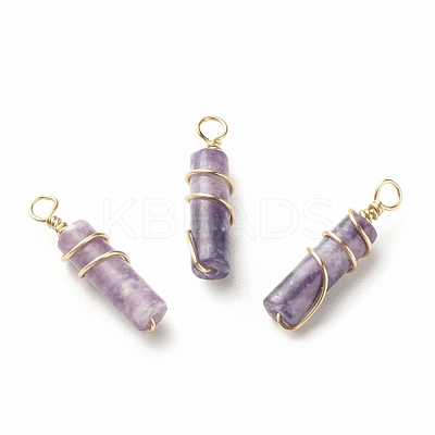 Natural Lepidolite Pendants PALLOY-JF01453-09-1