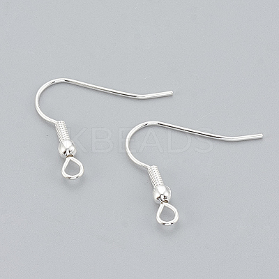 304 Stainless Steel Earring Hooks X-STAS-T031-17S-1