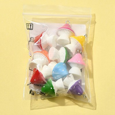 10Pcs Opaque Resin Pendants RESI-FS0001-61-1