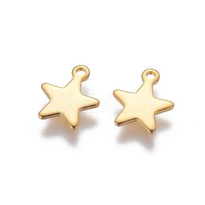 304 Stainless Steel Charms X-STAS-G190-27G-A-1