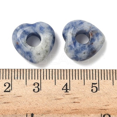 Natural Blue Spot Jasper European Beads G-C252-01B-1