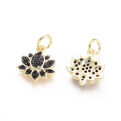 Brass Micro Pave Cubic Zirconia Charms X-ZIRC-G161-22-1