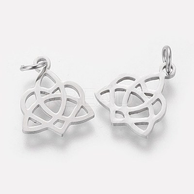 Tarnish Resistant 304 Stainless Steel Pendants STAS-Q201-T458S-1