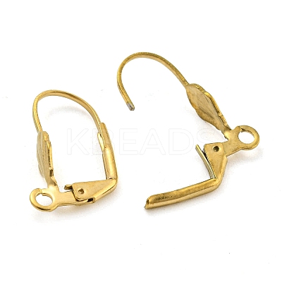 Ion Plating(IP) 304 Stainless Steel Leverback Earring Findings STAS-P360-02C-G-1