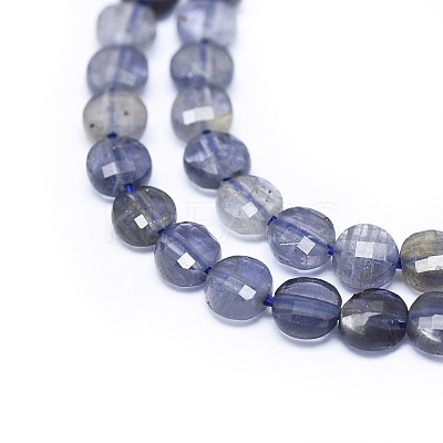 Natural Iolite Beads Strands G-I249-A04-1